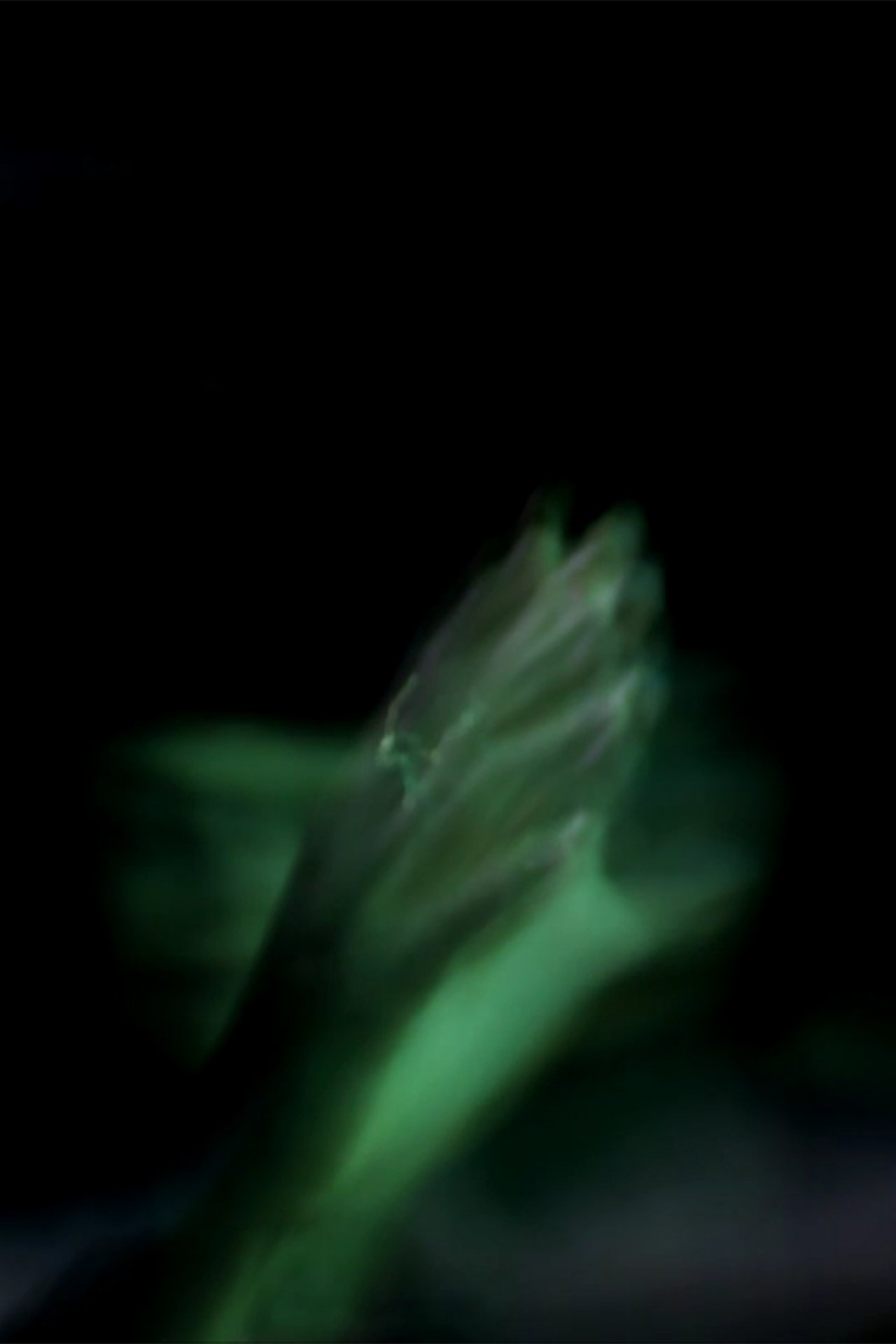 enlarged Poster 0