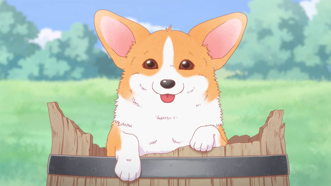 Episode 24