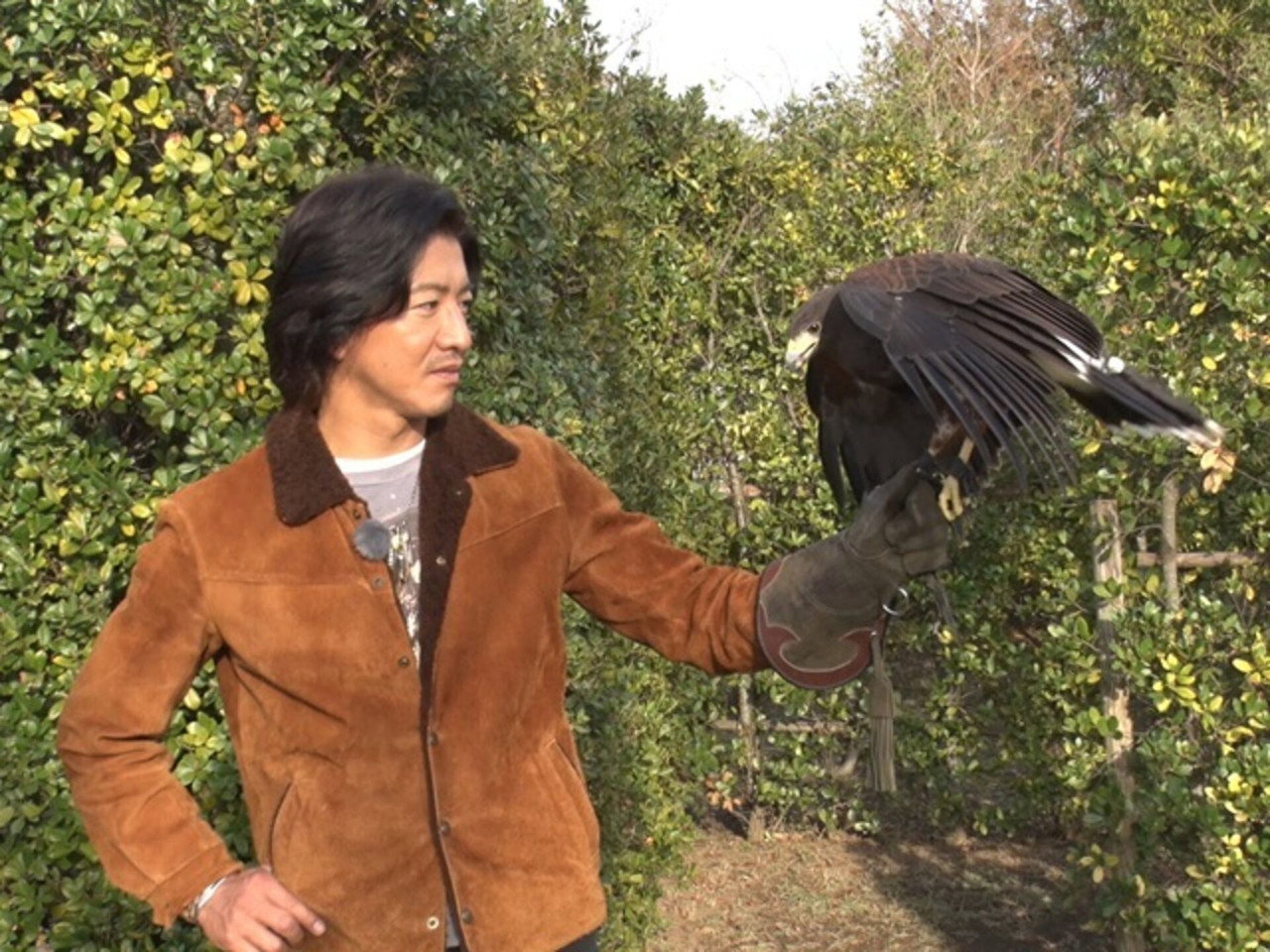 Challenge to catch a hawk at the zoo!