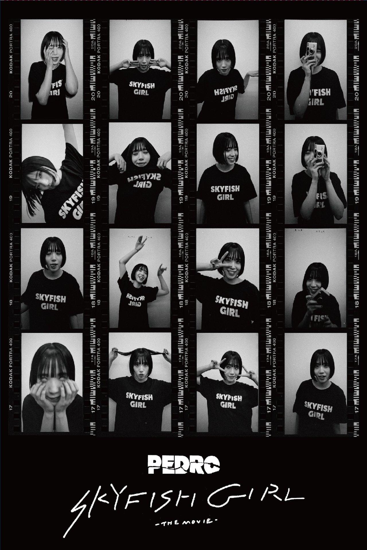 enlarged Poster 0