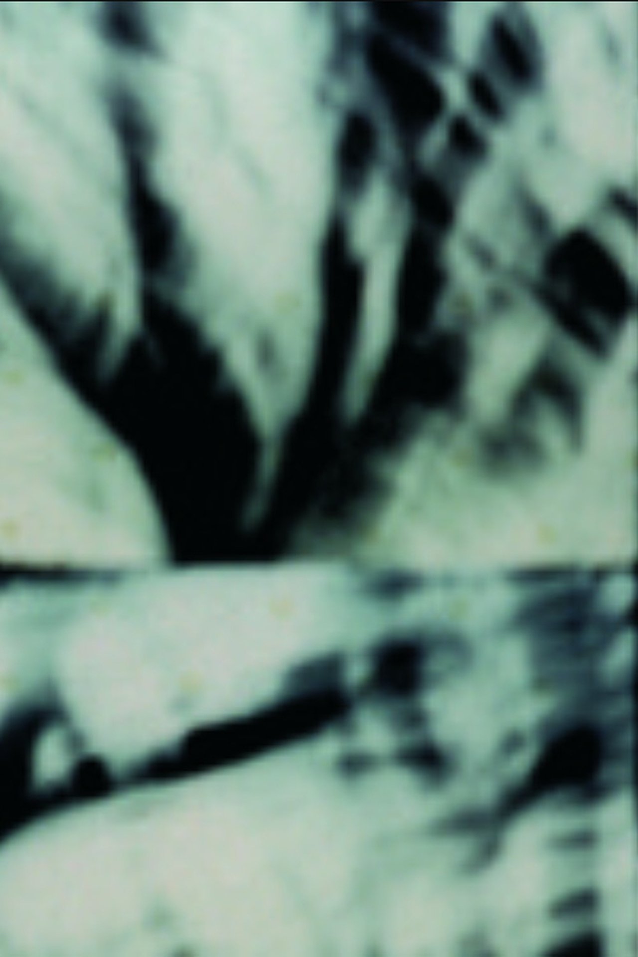 enlarged Poster 0