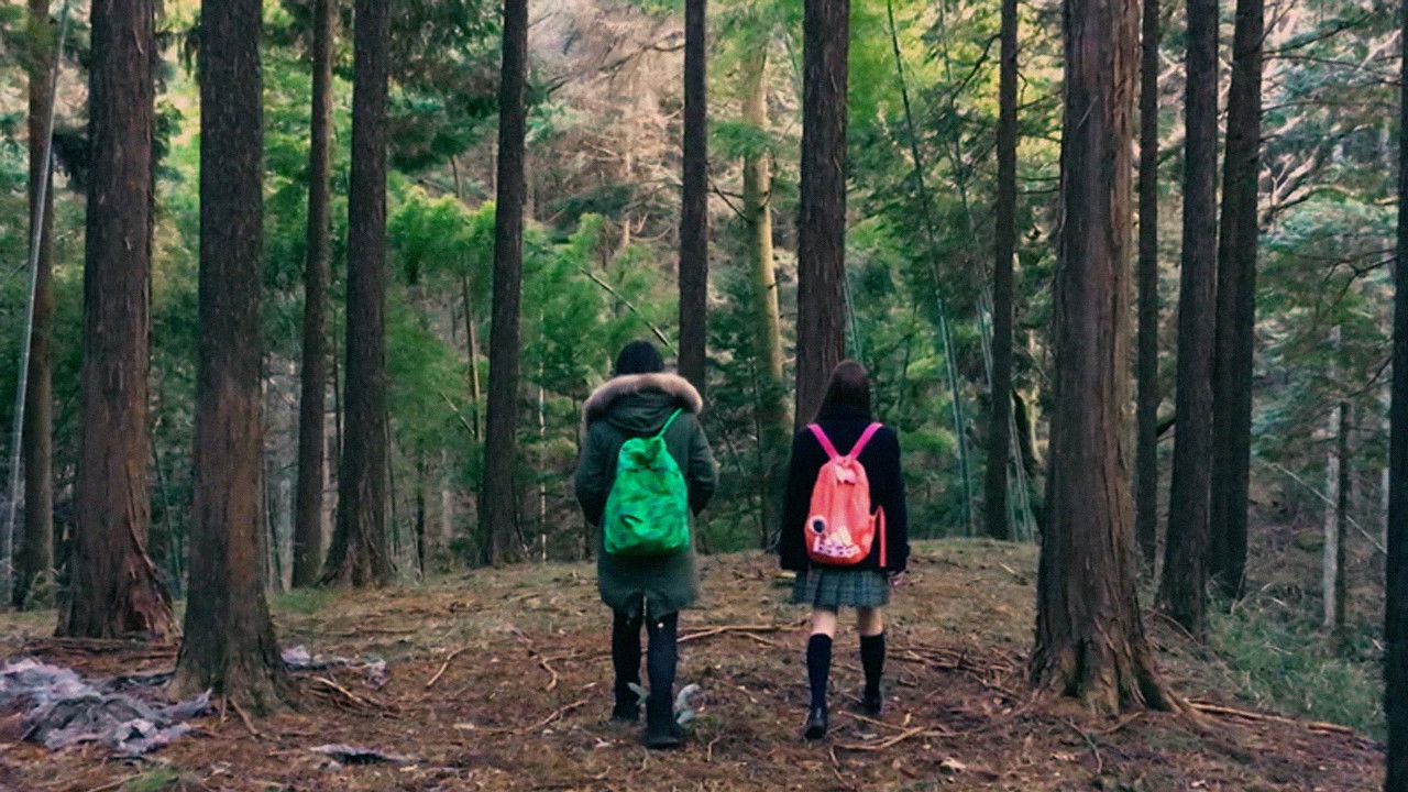 backdrop fuji_jukai.mov