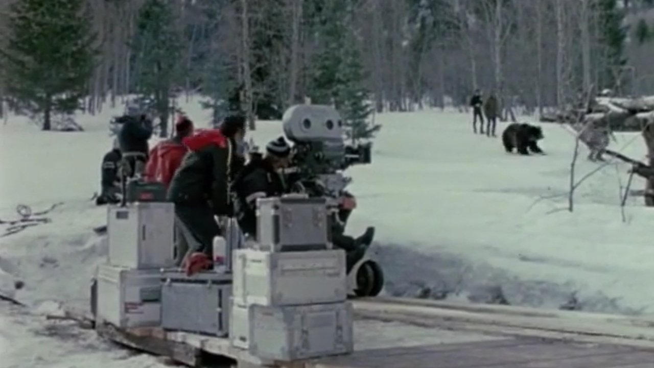movie backdrop