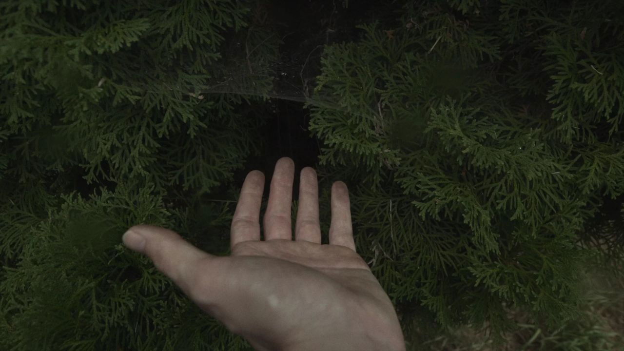 las-líneas-de-mi-mano