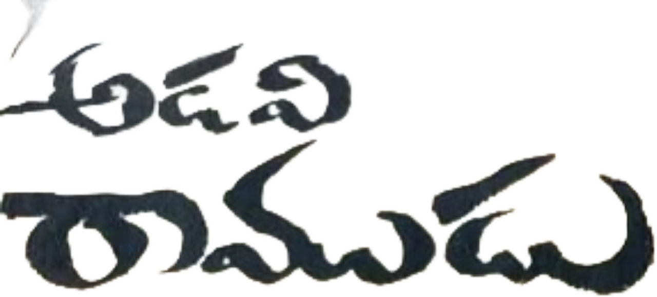 enlarged Logo 0