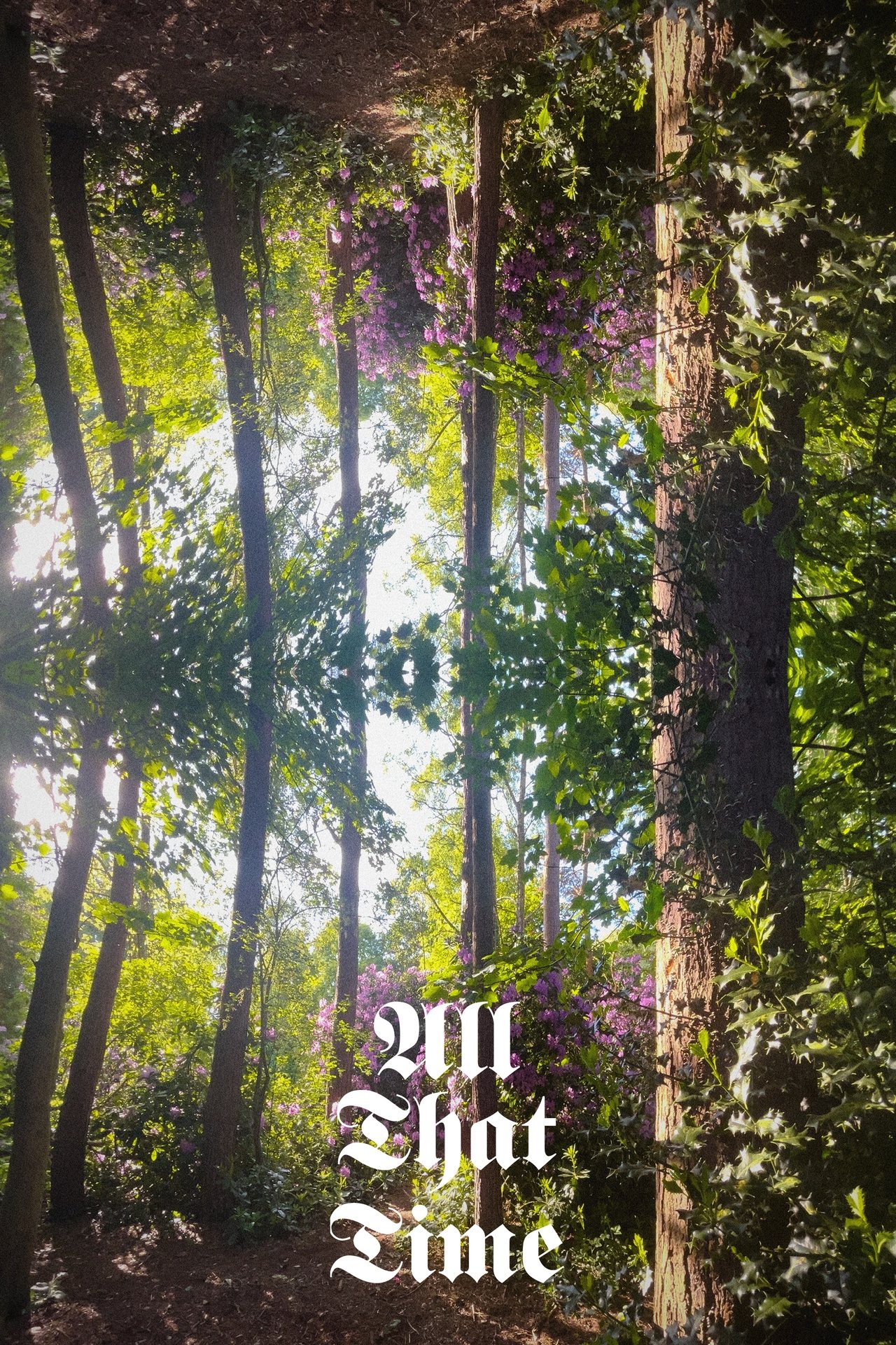 enlarged Poster 0