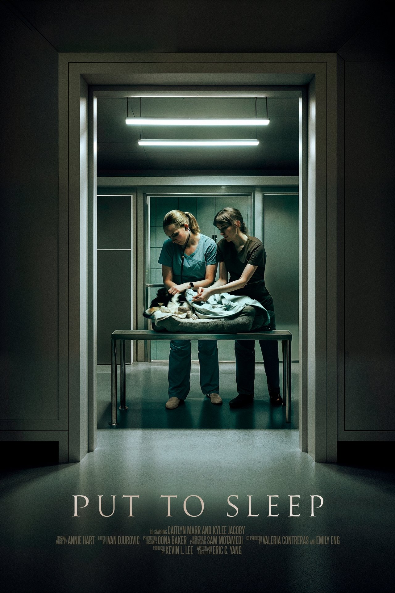 enlarged Poster 0