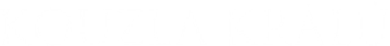 enlarged Logo 0