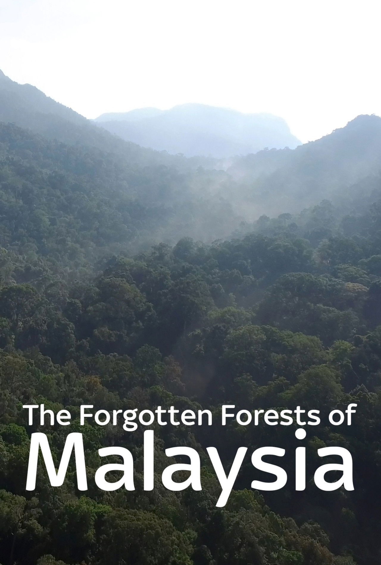 The Forgotten Forests of Malaysia