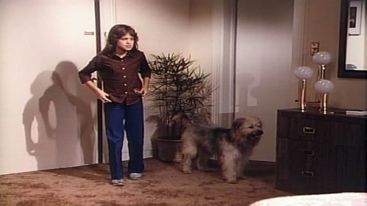 Boomer and Miss 21st Century II