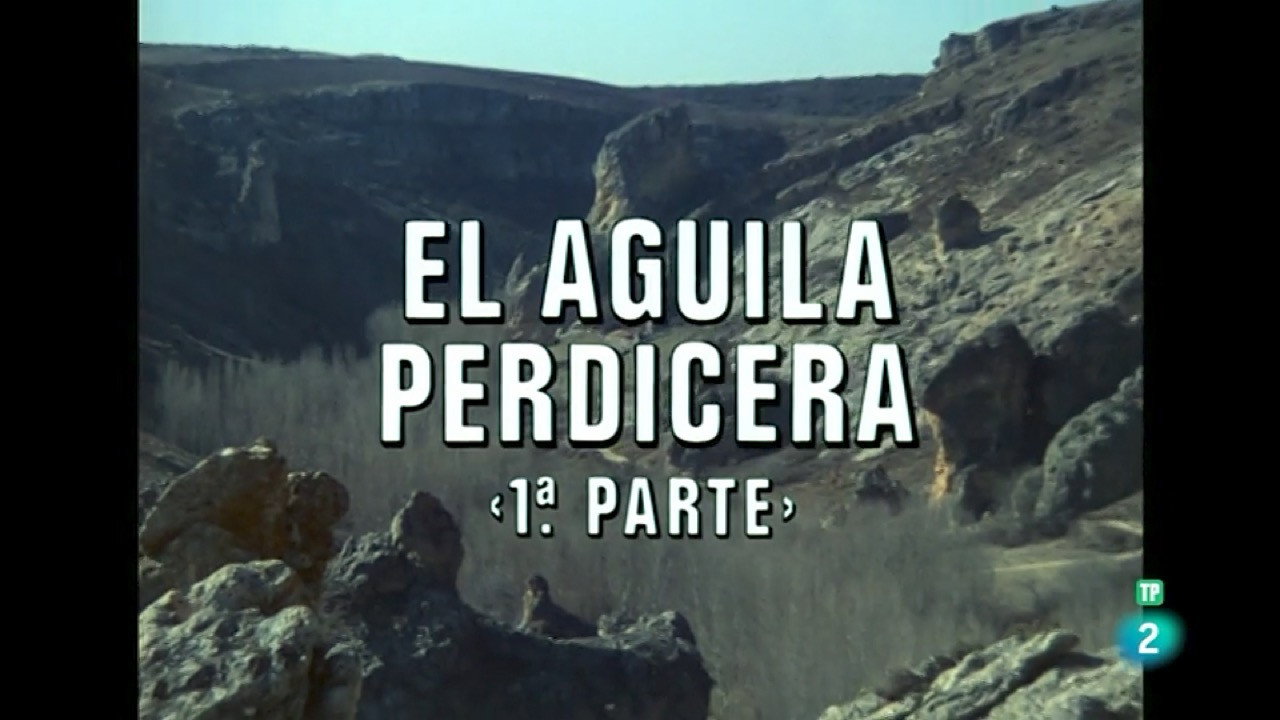 Bonelli's Eagle I
