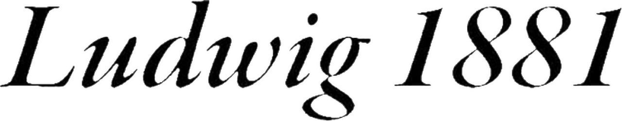 enlarged Logo 0