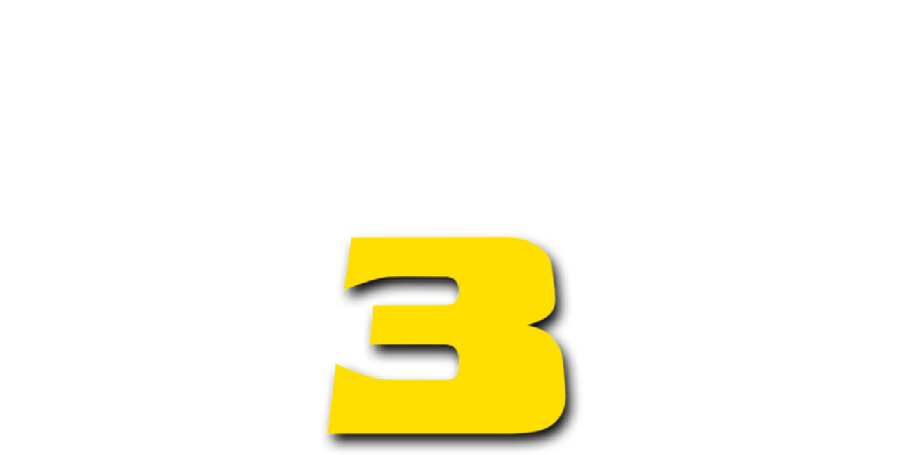 enlarged Logo 0
