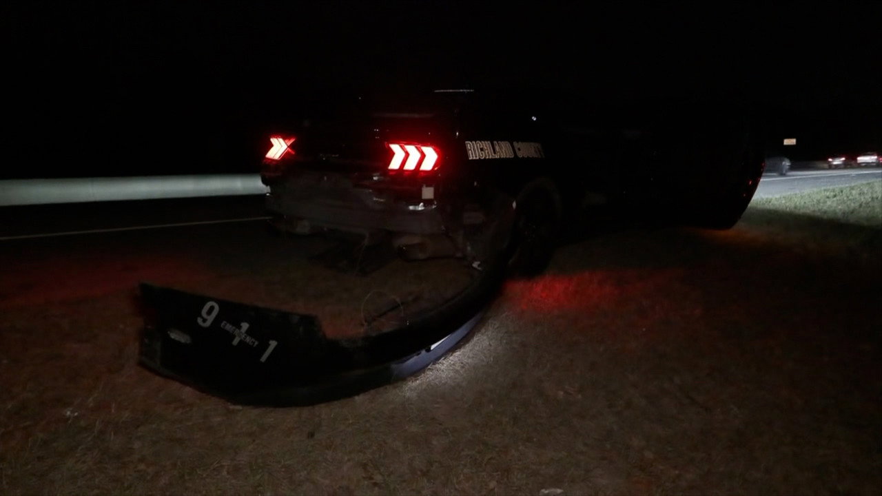 Fleeing Suspect Search