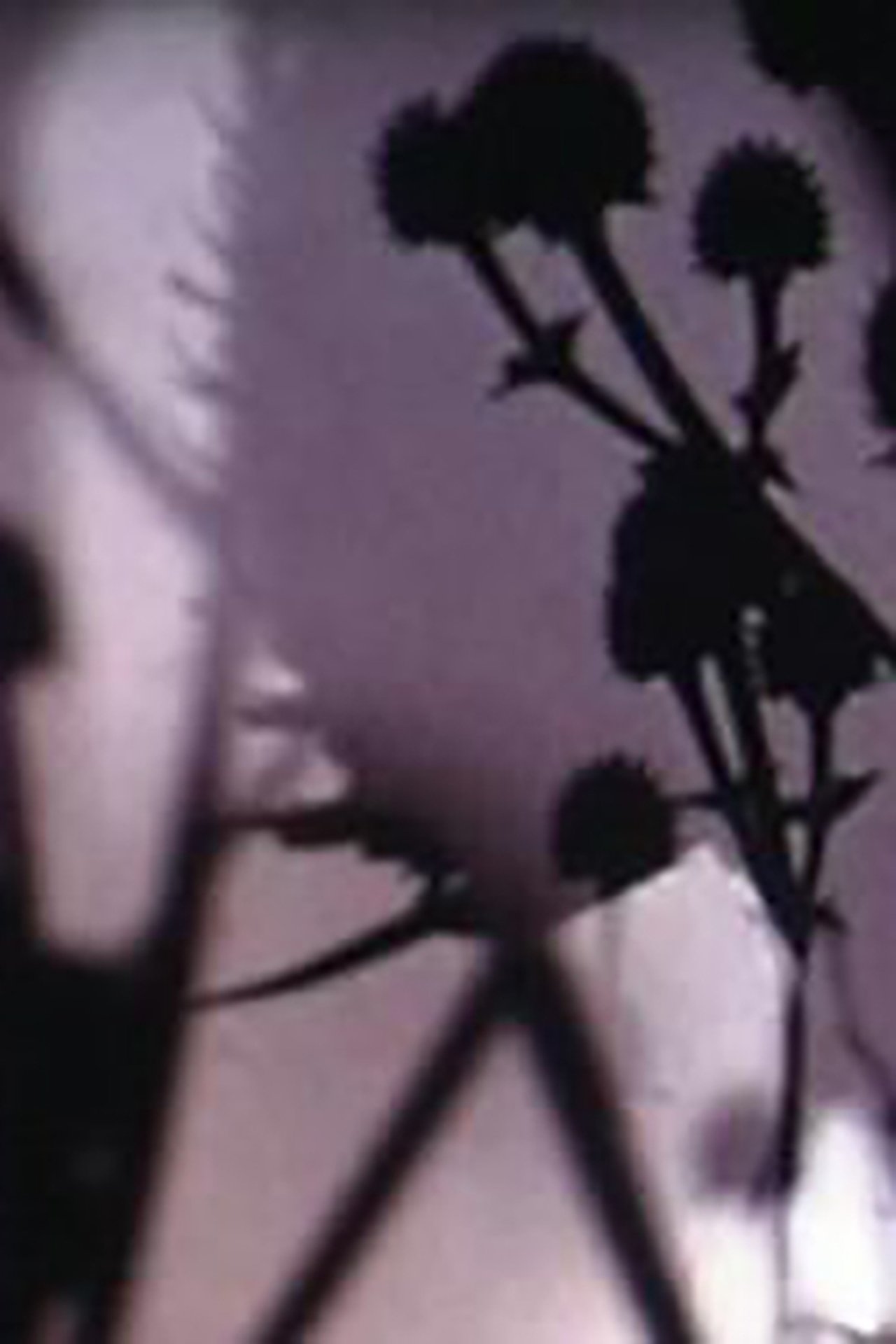 enlarged Poster 0