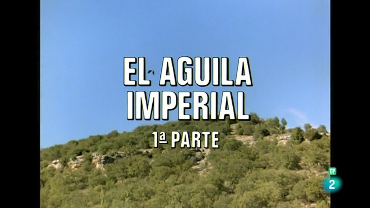 The Imperial Eagle I