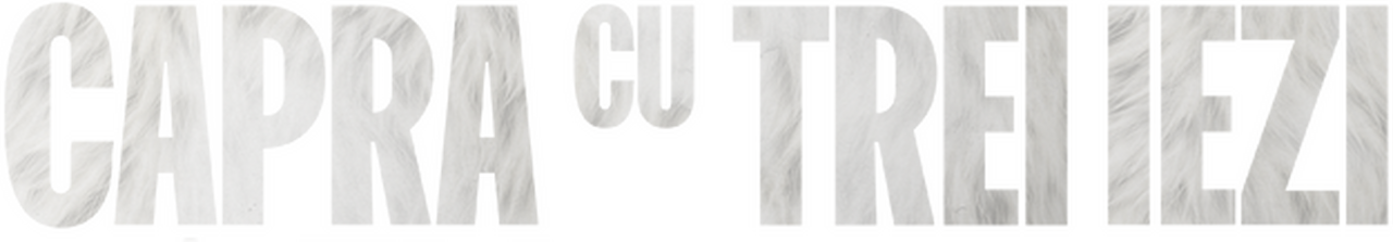 enlarged Logo 0