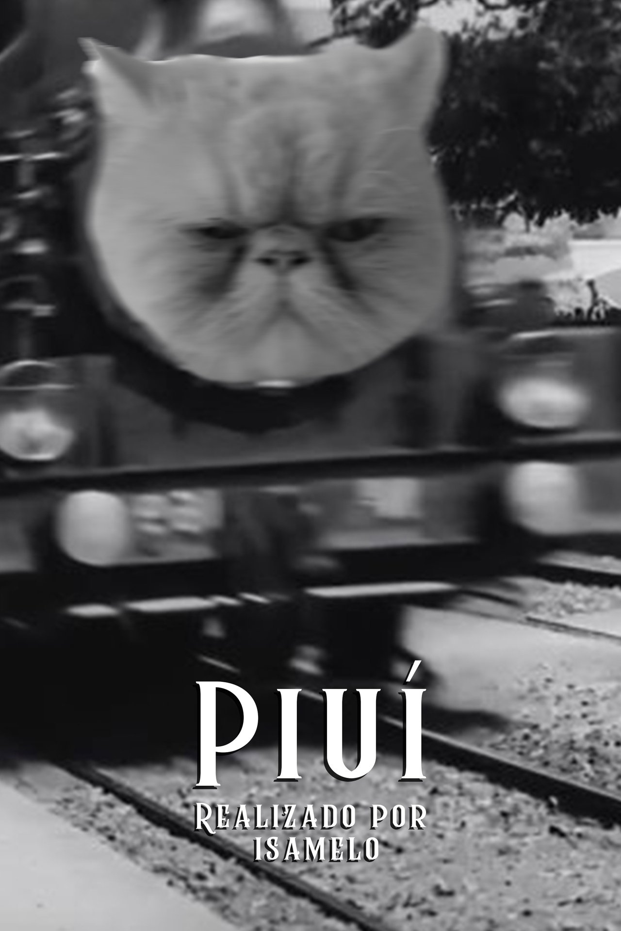 enlarged Poster 0