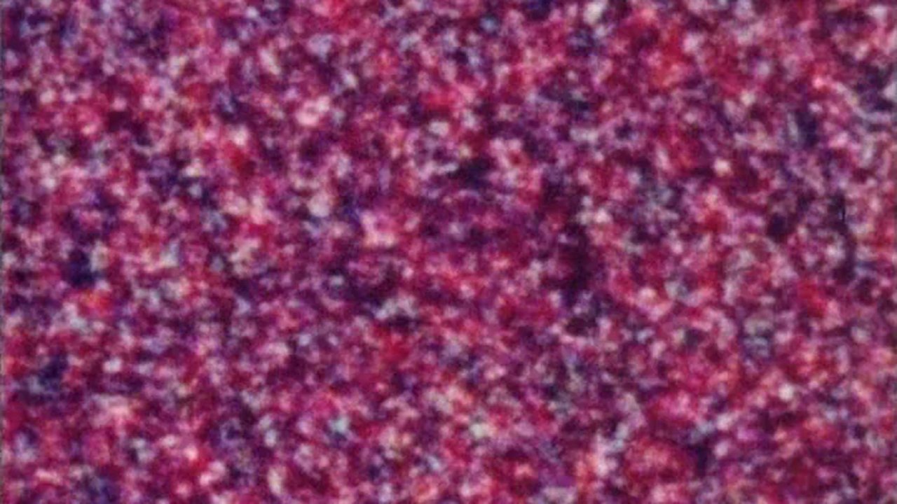 enlarged Backdrop 0