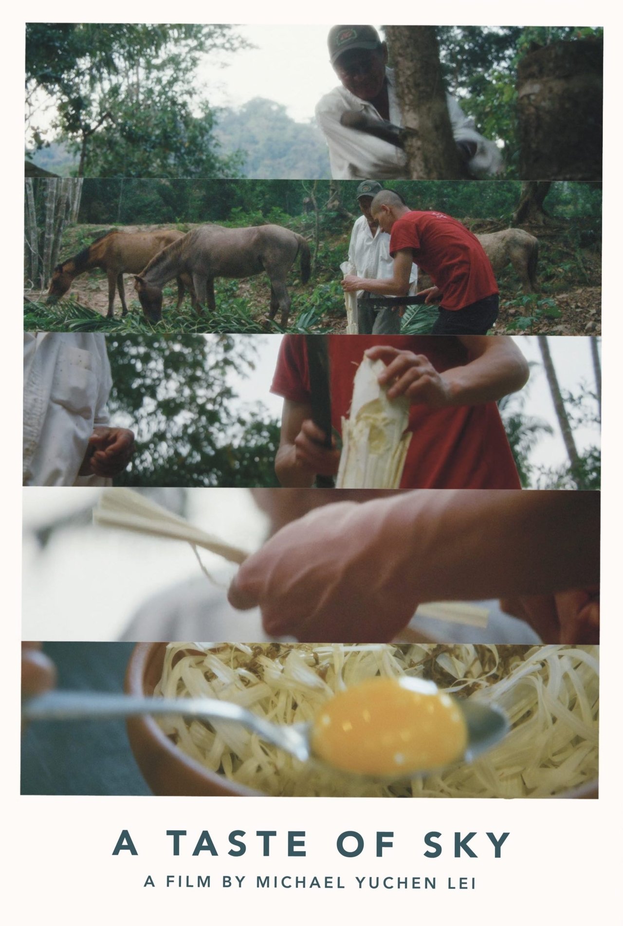 enlarged Poster 0