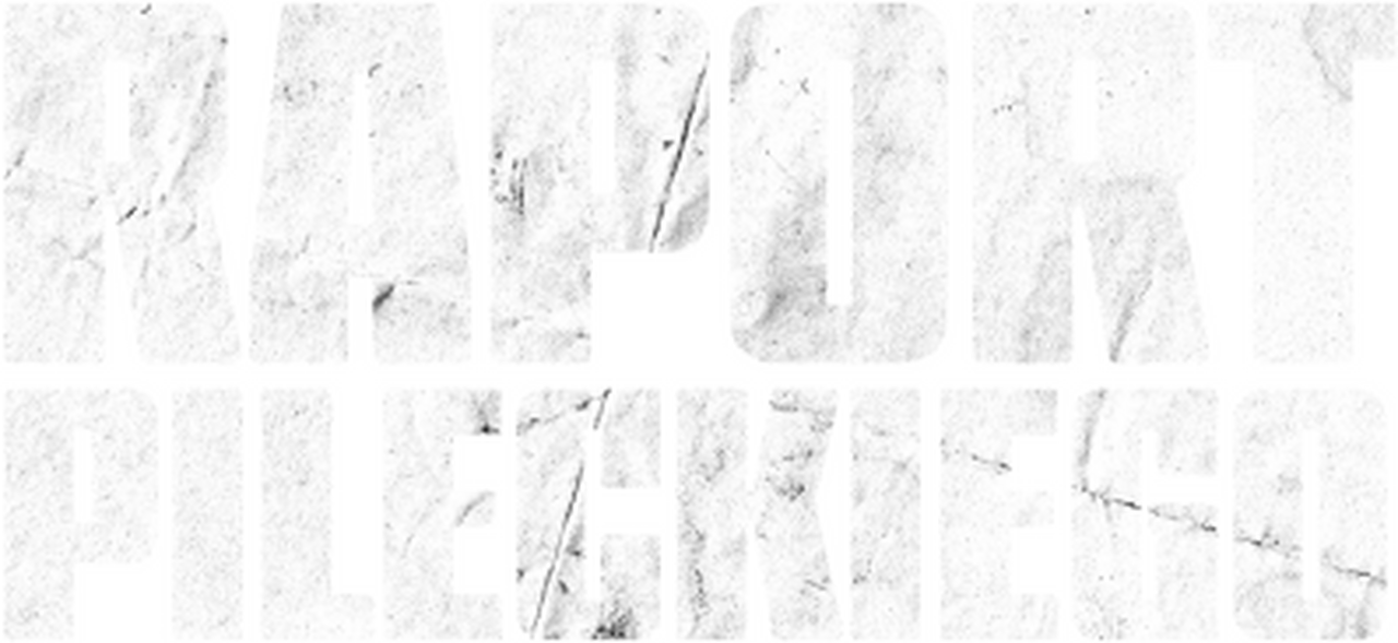 enlarged Logo 0
