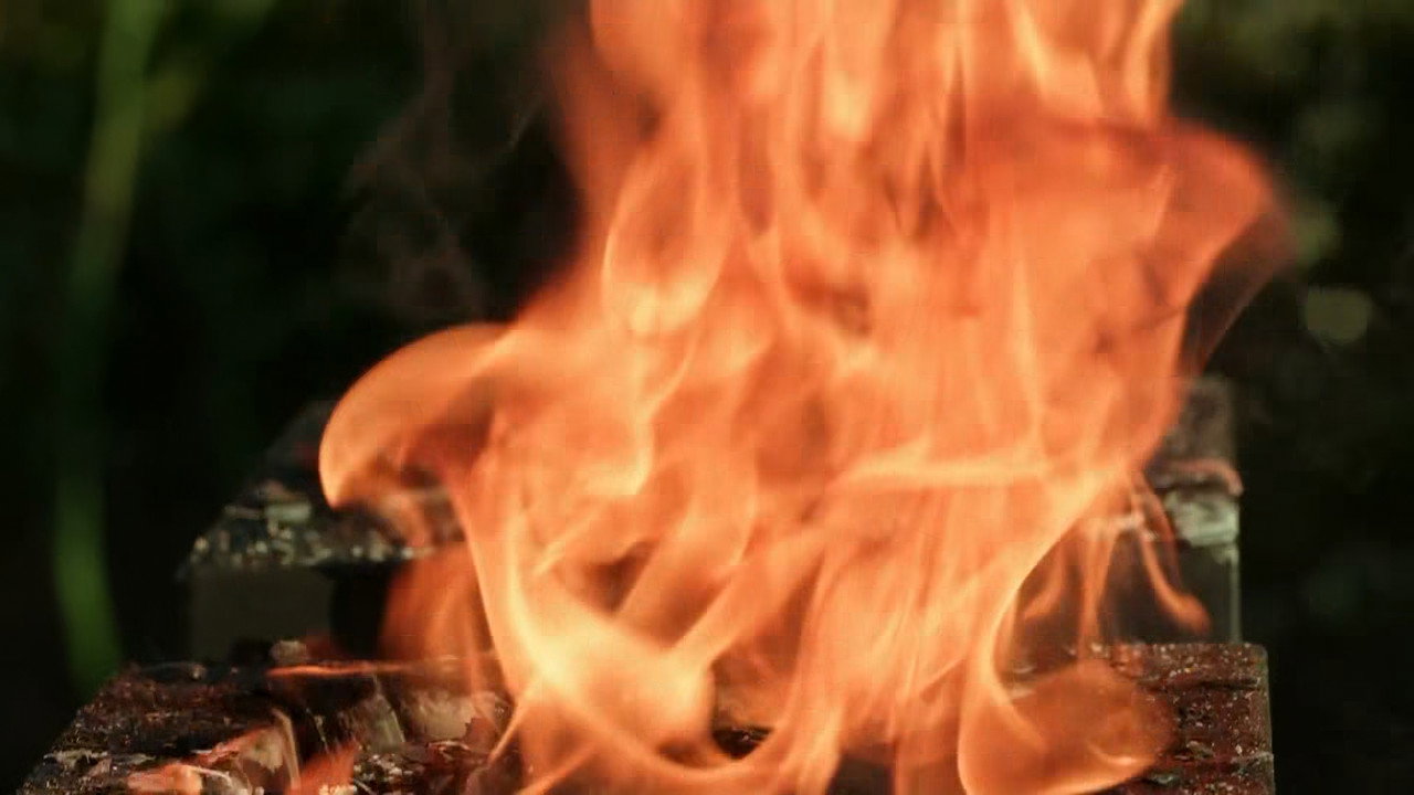 Immunity Challenge: Hibachi