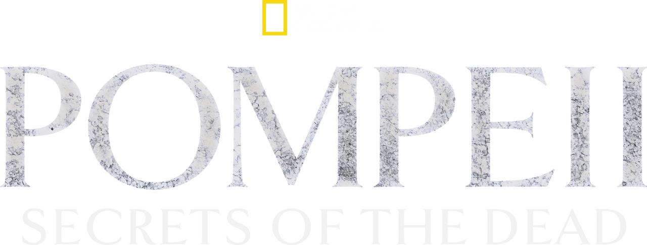 enlarged Logo 0