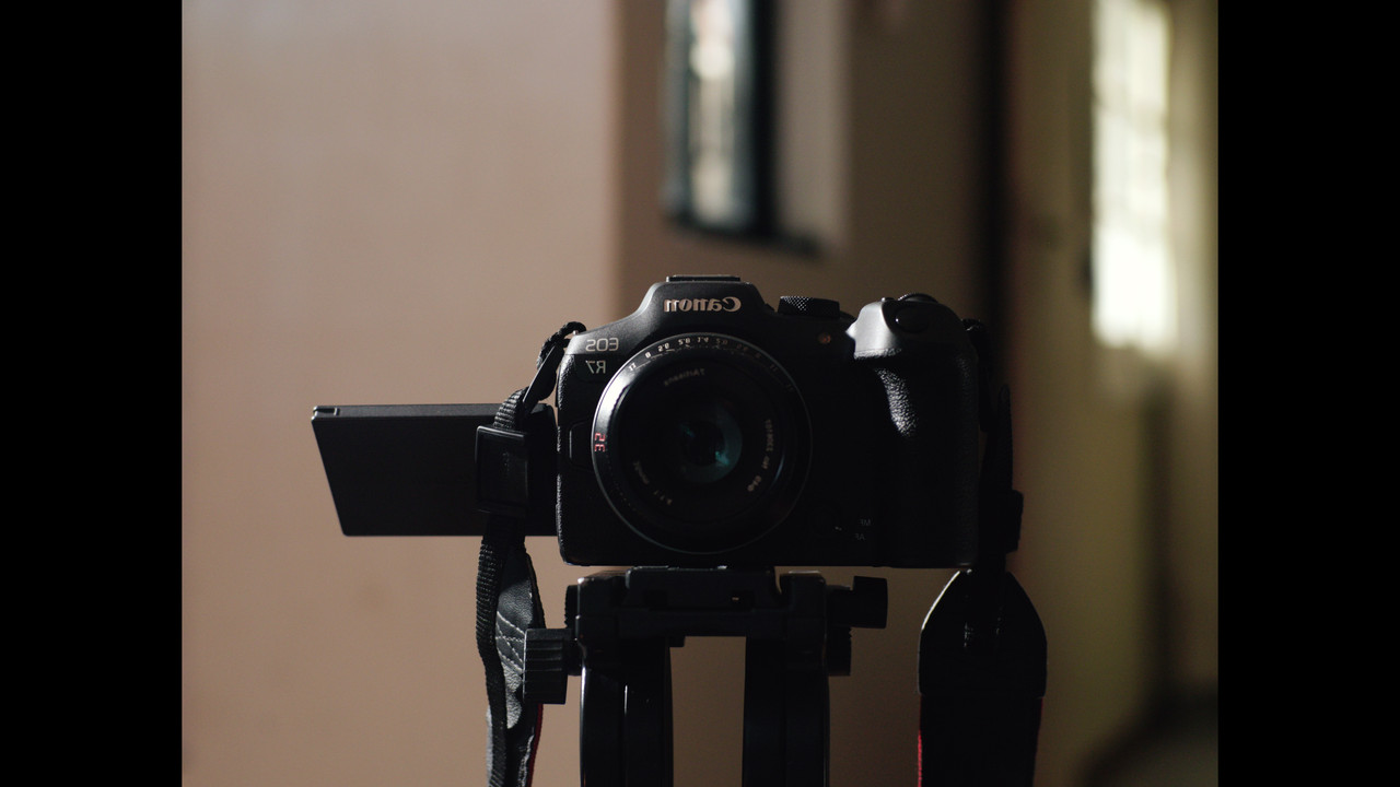 backdrop I Never Heard Their Beginnings