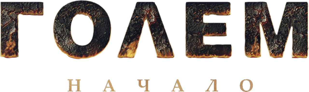 enlarged Logo 0