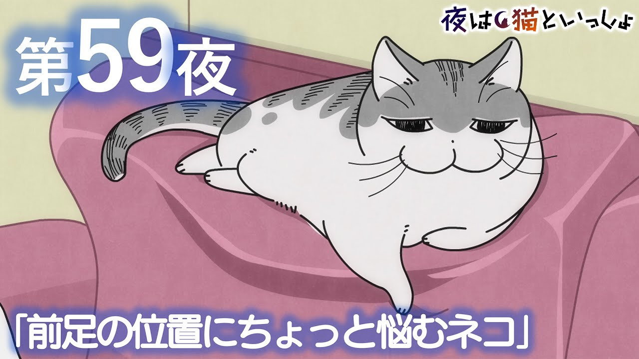 Night 59: A Cat Who Can't Decide Where to Rest Its Forepaw