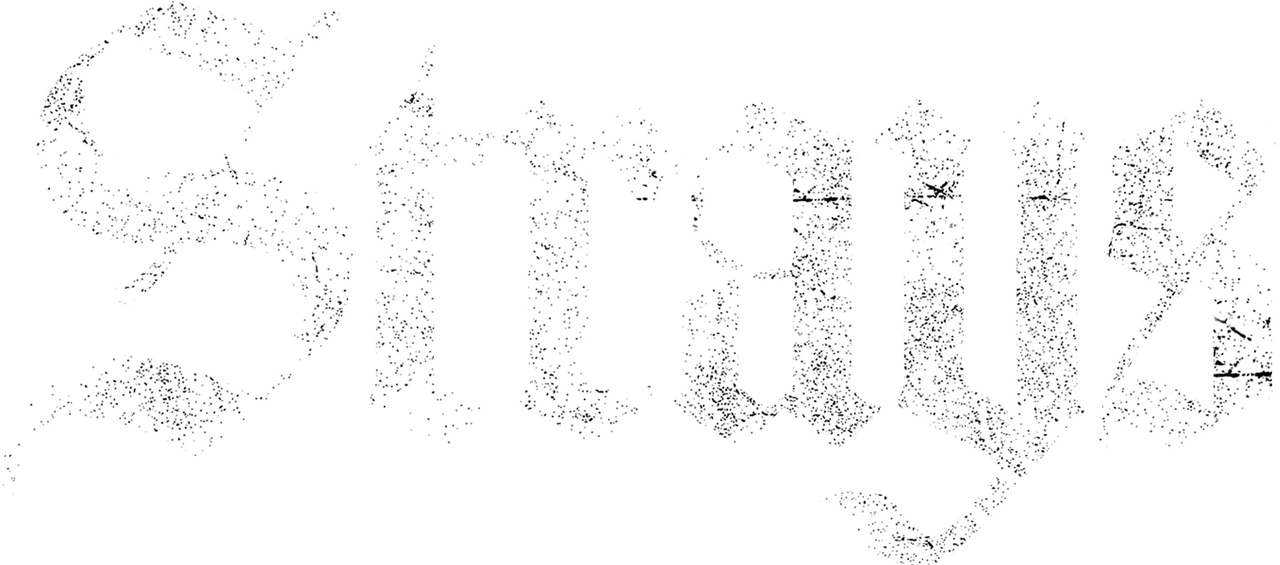 enlarged Logo 0