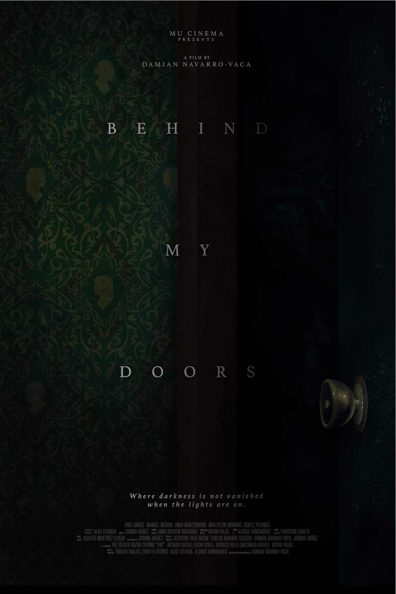 enlarged Poster 0
