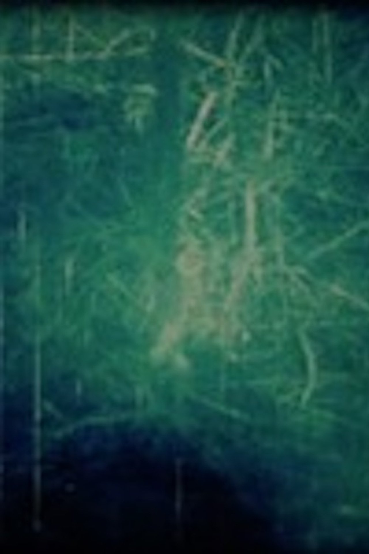 enlarged Poster 0