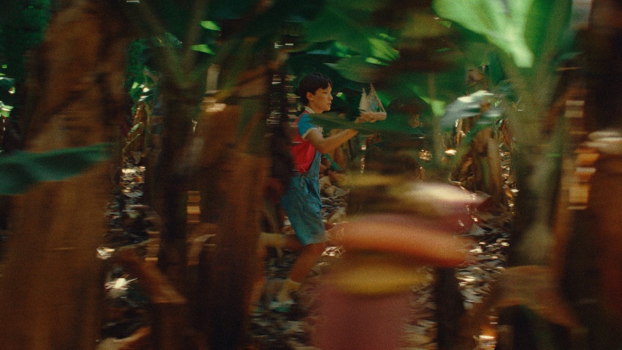 movie backdrop