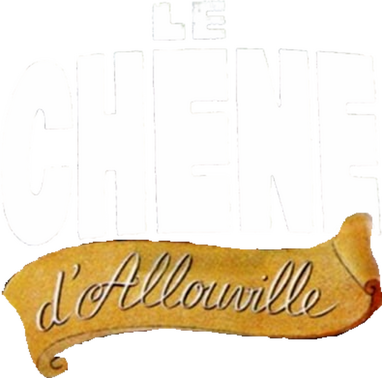 enlarged Logo 0