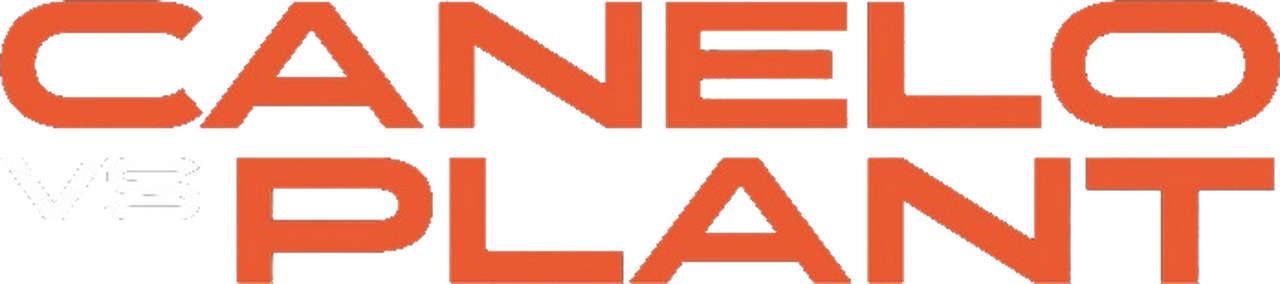 enlarged Logo 0