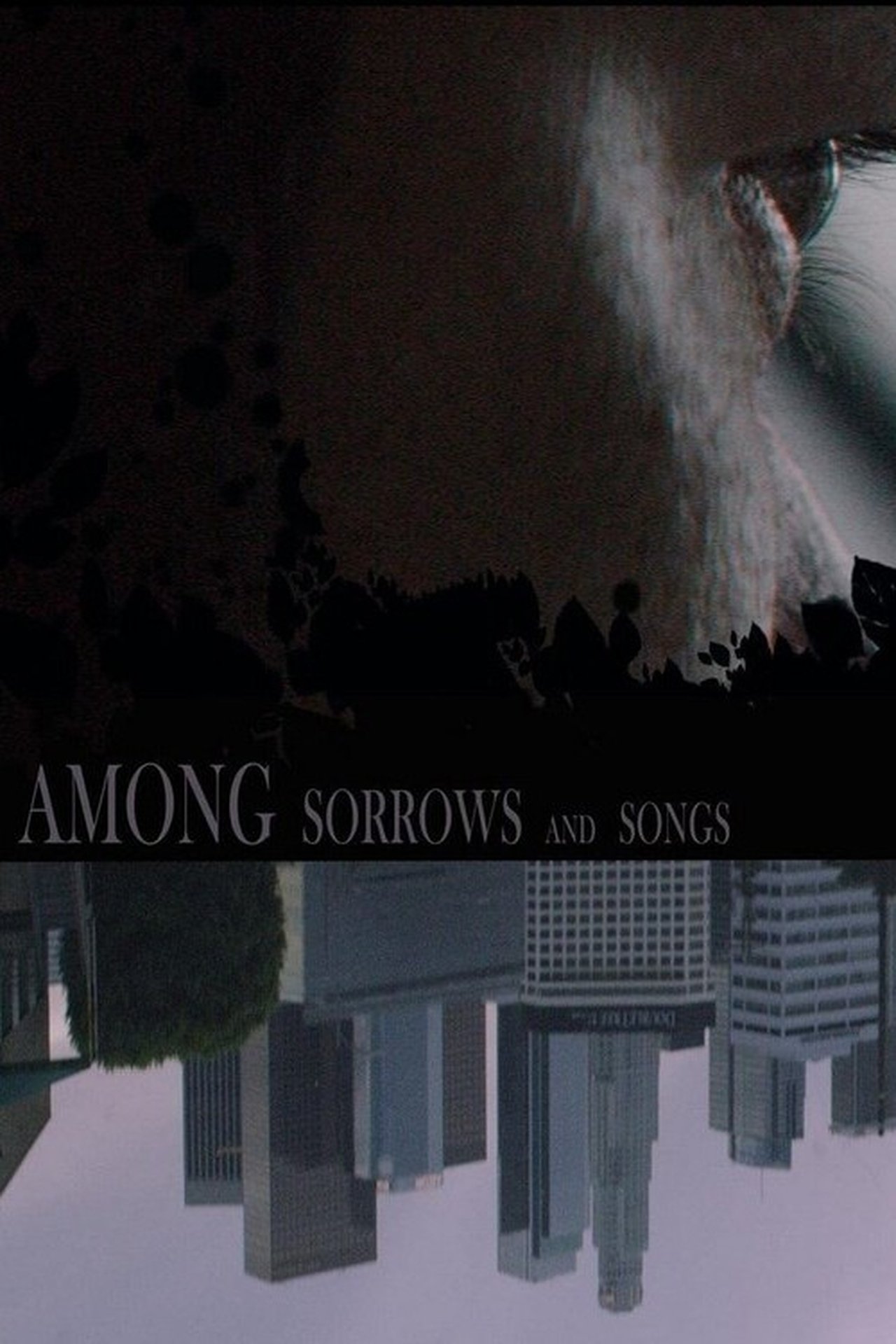 enlarged Poster 0