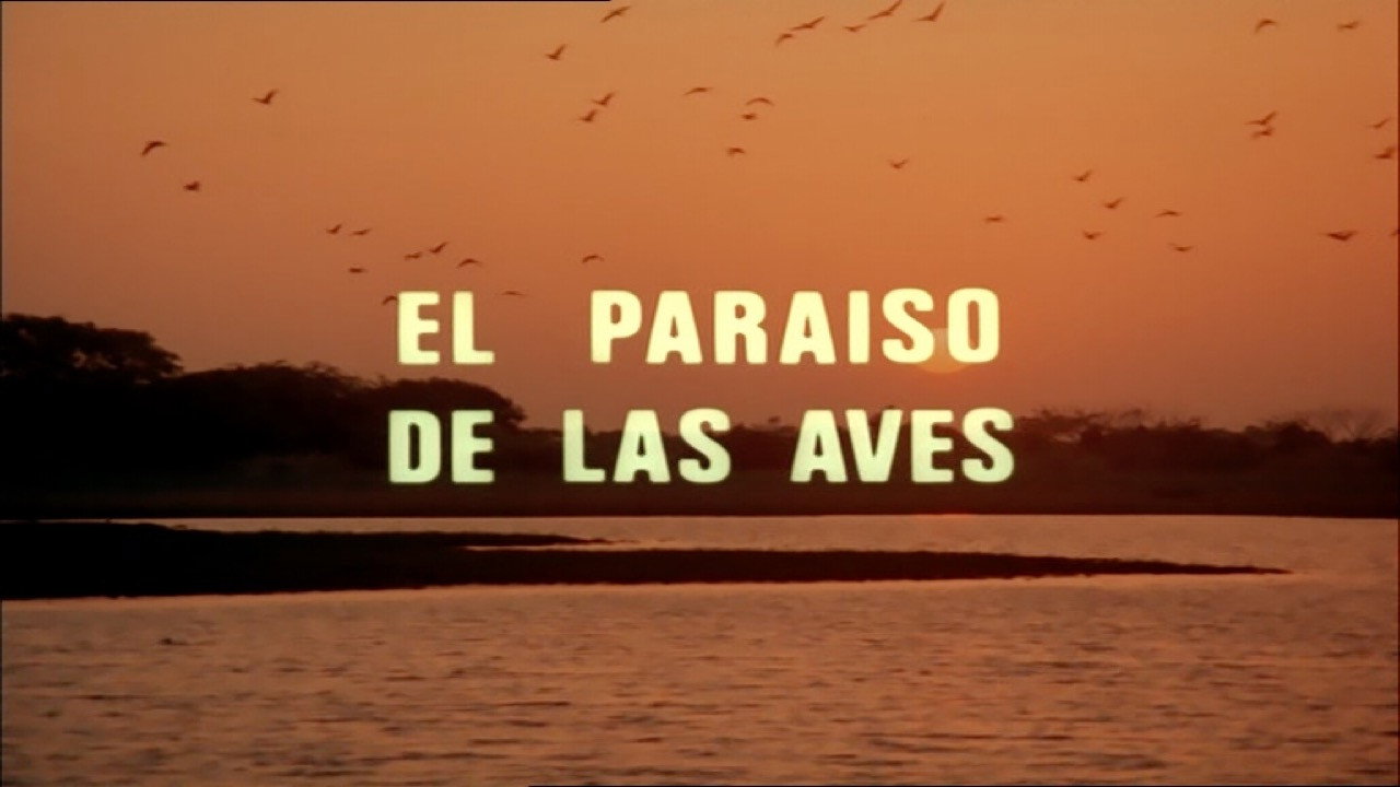 The Paradise of the Birds
