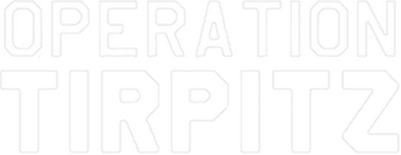enlarged Logo 0