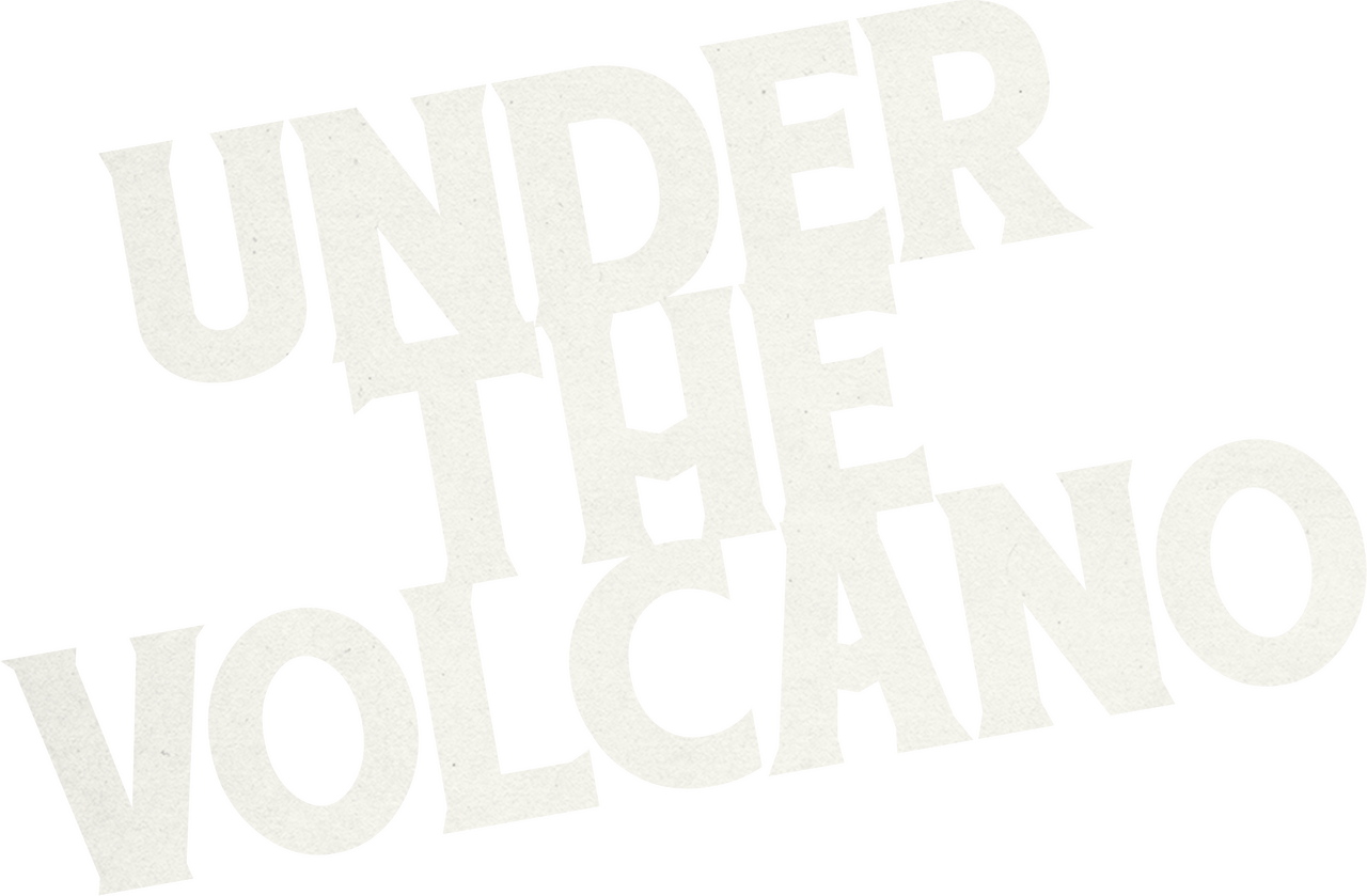enlarged Logo 0