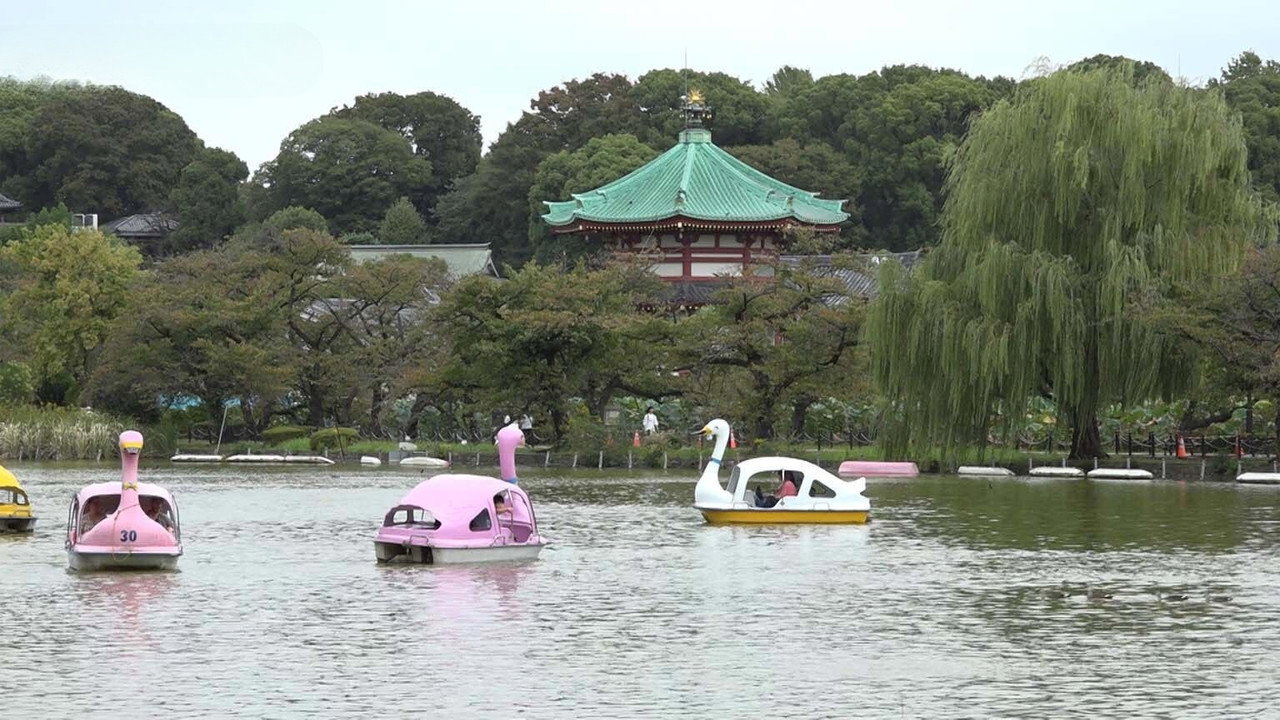 Ueno Park - At the Crossroads of Edo and Meiji