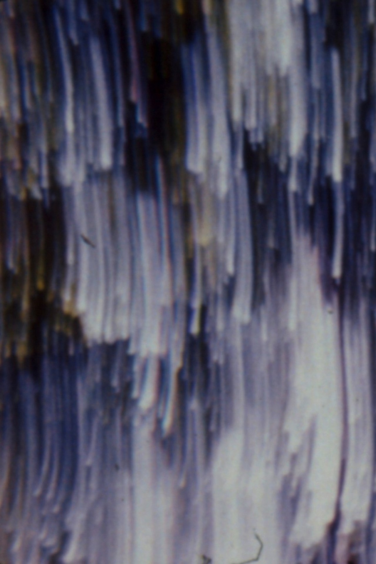 enlarged Poster 0