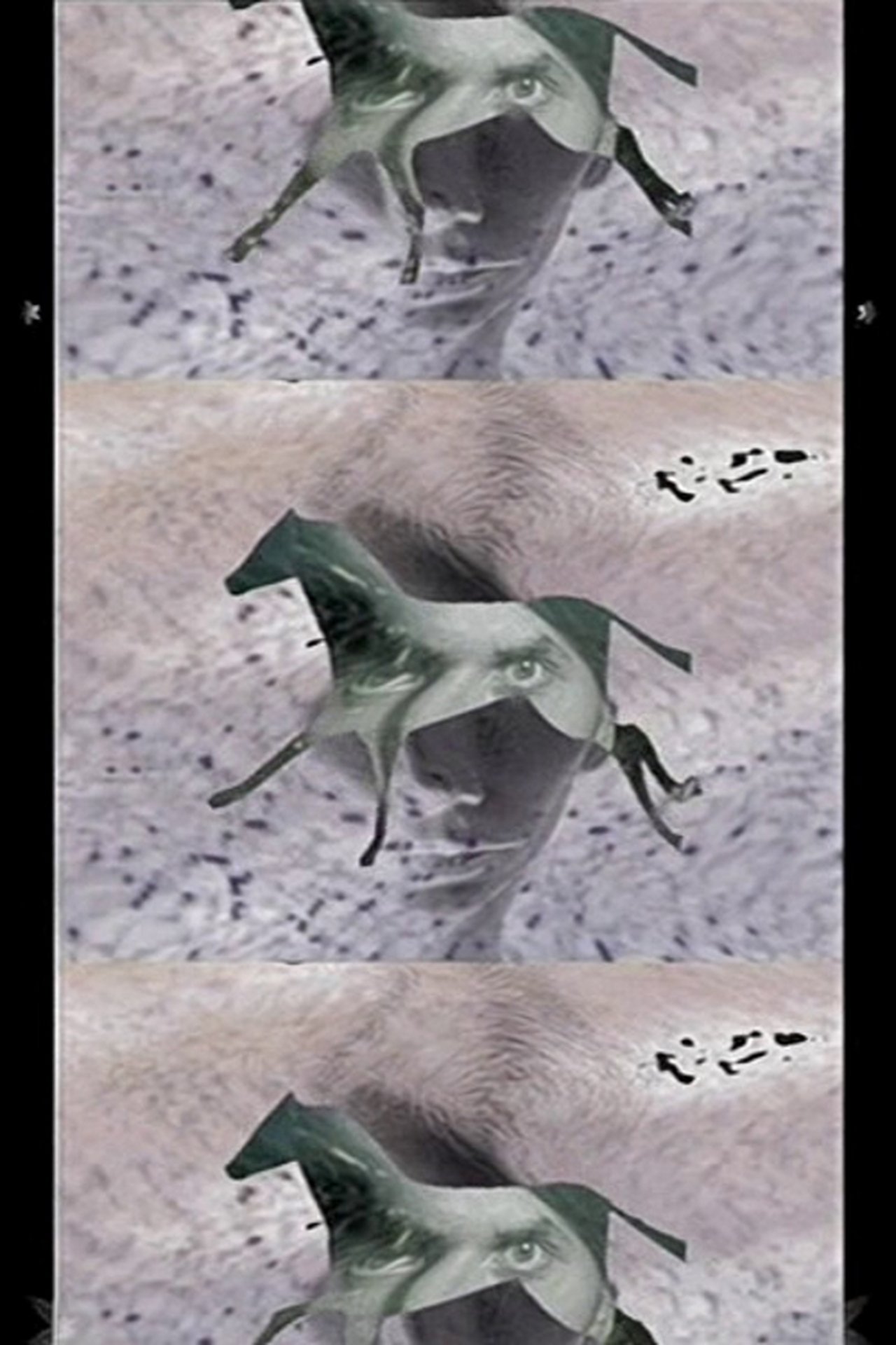 enlarged Poster 0