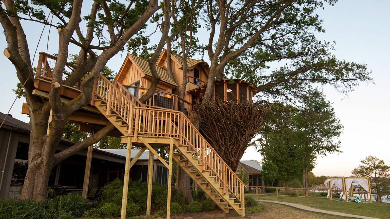 Birds Nest