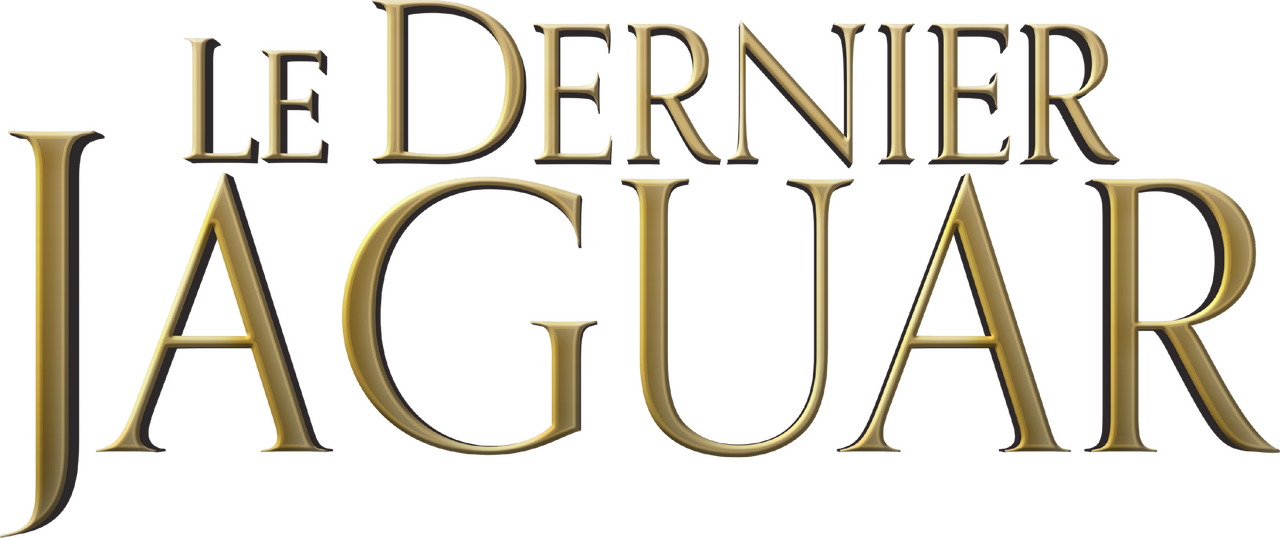 enlarged Logo 0