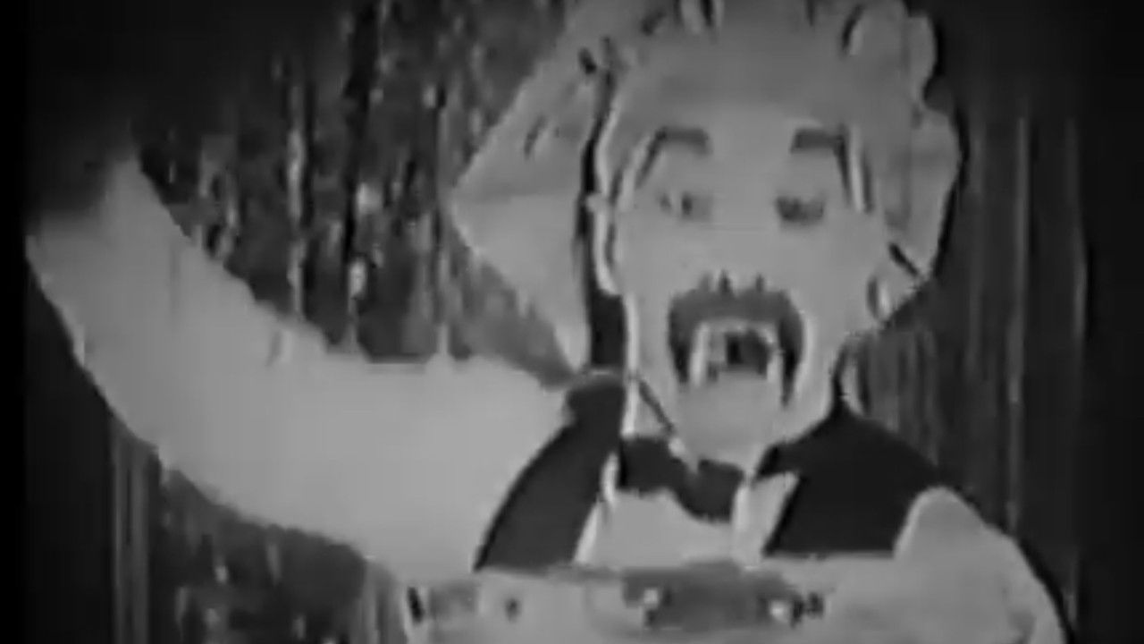 backdrop The Green Cat