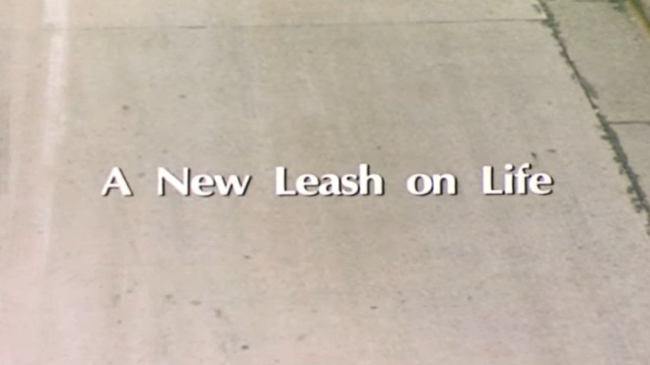 A New Leash On Life