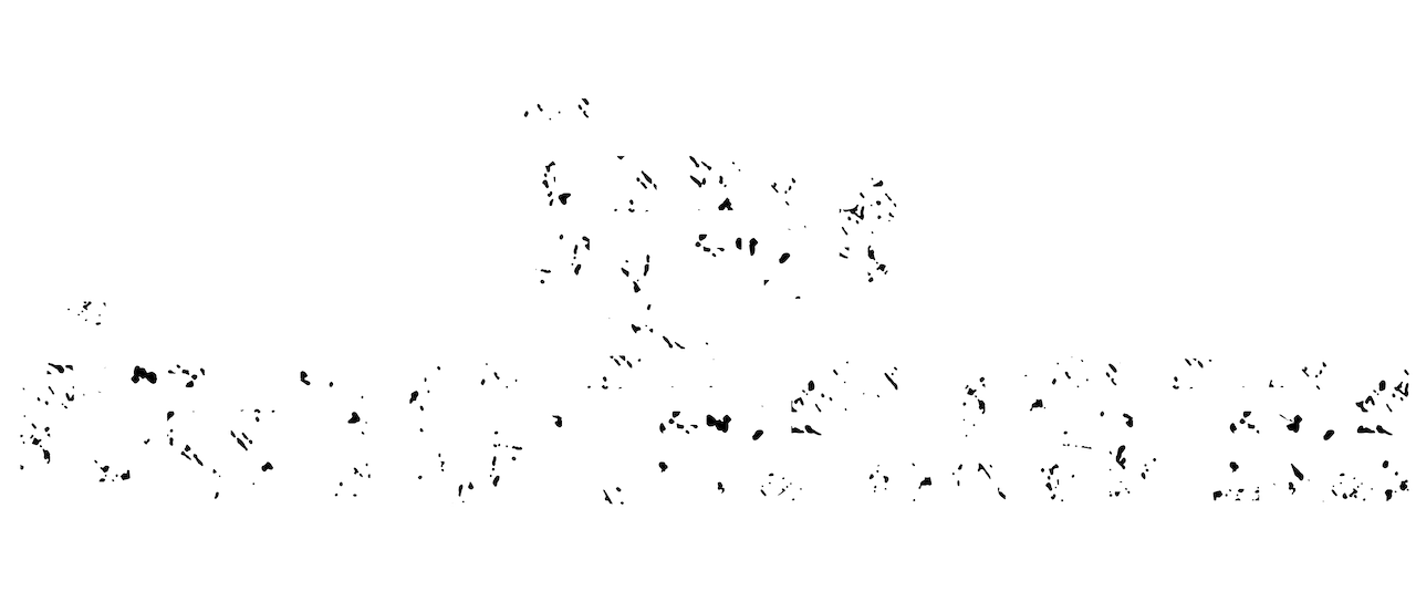 enlarged Logo 0