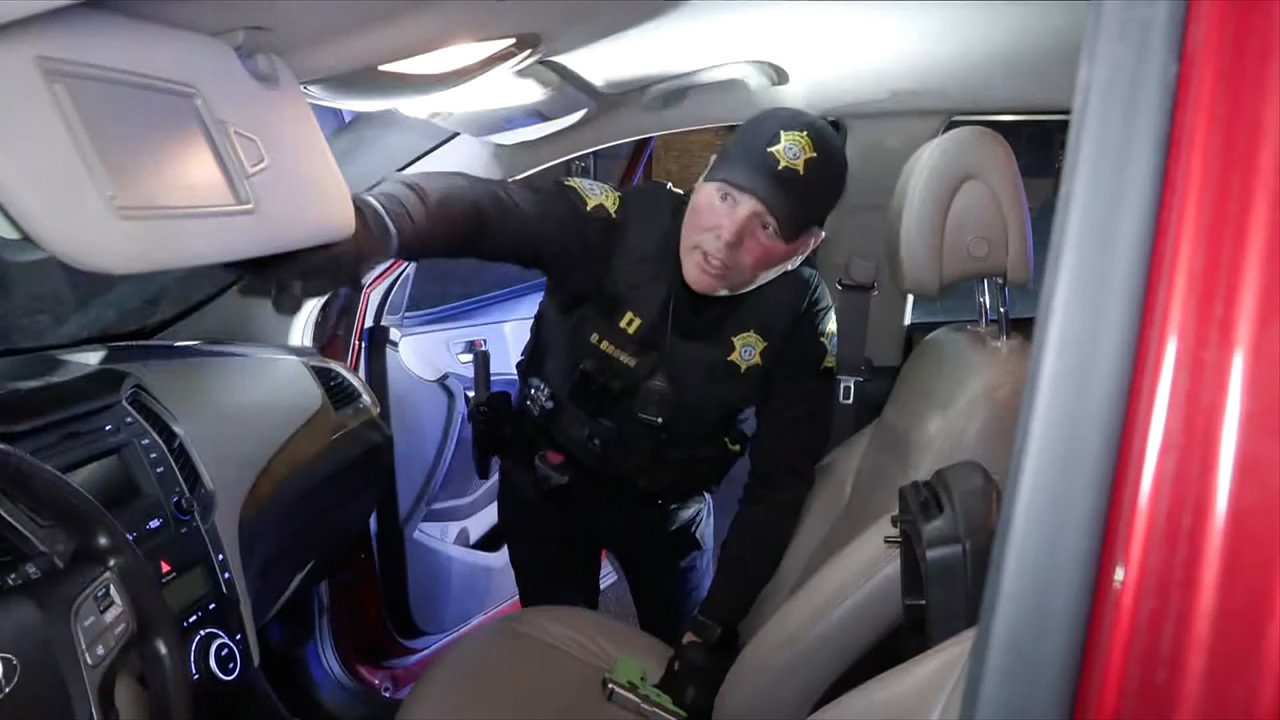 Snowmobile Pursuit