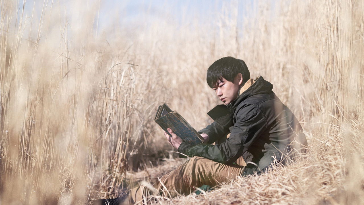 backdrop Ring Wandering